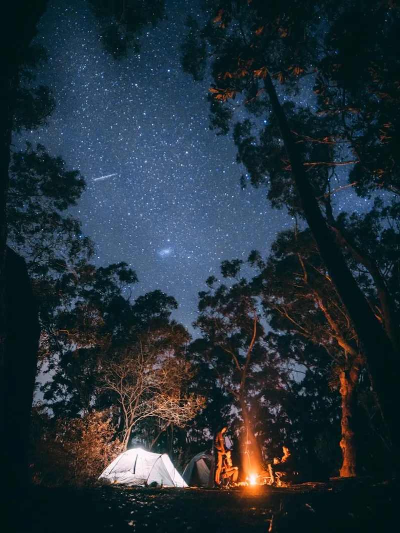 Creative session under the open sky